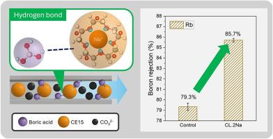 15-crown-5 functionalized layered double hydroxide enabling thin-film nanocomposite membranes for enhanced reverse osmosis desalination and boron removal