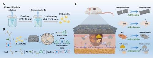 Microsphere-embedded gelatin-based hydrogel with self-healing, hemostatic, antioxidative, and antibacterial activity for wound healing