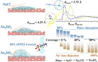 Nanoscale investigation into the water uptake and multivalent ion suppression on pristine and APTES grafted ZSM-5 membranes