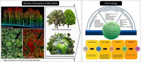 Contribution of high-resolution remote sensing to spatial ecology of forest ecosystems at the single tree level: A systematic review