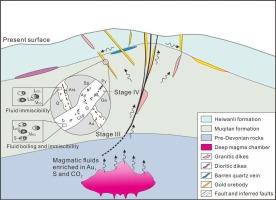 Magmatic-hydrothermal fingerprints in lode gold deposits: A case study of the Liushaogou deposit in the West Qinling Orogen, China