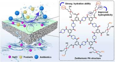 Zwitterionic triethanolamine-grafted nanofiltration membranes for sustainable antibiotic recovery
