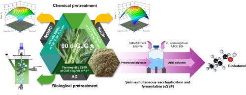 Effects of chemical and biological pretreatments on biobutanol production from Pennisetum purpureum × Pennisetum typhoideum by semi-simultaneous saccharification and fermentation