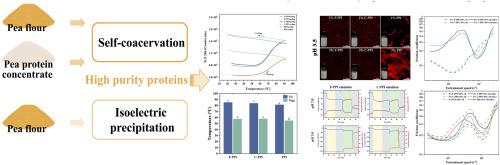 Pea proteins prepared by self-coacervation: Physicochemical characterization and emulsifying properties