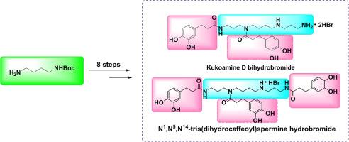 Efficient and improved synthesis of kukoamine D and N1,N5,N14-tris(dihydrocaffeoyl)spermine