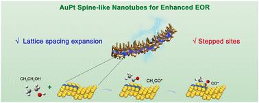 One-pot synthesis of lattice-strained AuPt spine-like nanotubes for high-efficiency ethanol electrooxidation