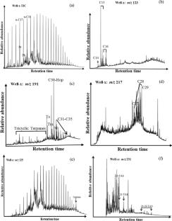 Organic geochemical characteristics of C28 R-sterane dominated Cretaceous Nkporo shales of the Anambra Basin: insights from organic petrology, biomarkers, and isotopes