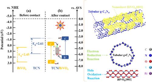 Experimental and DFT Insights into Enhanced Charge Transfer and Efficient Photocatalytic Performance of Tubular g-C3N4/BiVO4{001} Heterojunctions