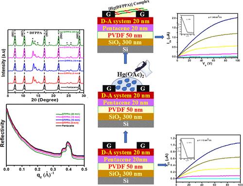 Surface-Tuned Organic Thin-Film Transistors for High-Performance Mercury Detection