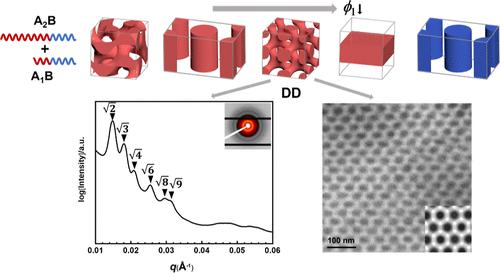 SCFT-Guided Experimental Fabrication of Double-Diamond Structures in A1B/A2B Block Copolymer Binary Blends