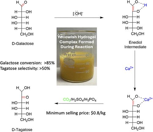 Sustainable Production of Low-Calorie Tagatose via CaO-Promoted Galactose Isomerization with CO2 Neutralization under Ambient Conditions