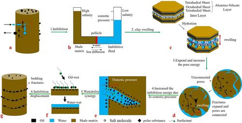 Effect of Clays on the Spontaneous Imbibition Behavior of Surfactant Solutions in Shale Oil Reservoirs
