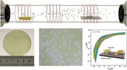 Unidirectional Epitaxy of Wafer-Scale MoS2 on Sapphire via Growth Kinetics Control