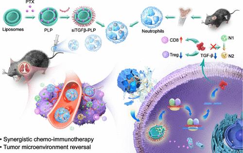 Neutrophil-Mediated Delivery Platforms for Synergistic Chemo-Immunotherapy of Non-Small-Cell Lung Cancer Therapy