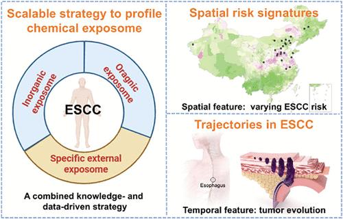 Profiling the Chemical Exposomic Landscape of Esophageal Squamous Cell Carcinoma