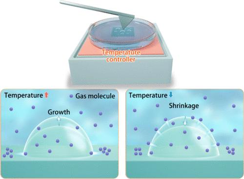 In Situ Atomic Force Microscopy Investigation of Temperature-Dependent Properties of Interfacial Nanobubbles on Highly Oriented Pyrolytic Graphite Surfaces