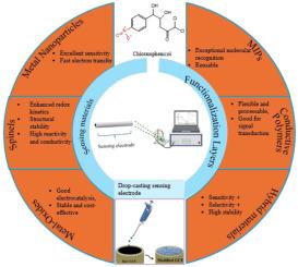 Advancement in electrochemical sensing of chloramphenicol in varying matrixes: A review