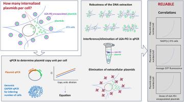 qPCR-based method to measure plasmid internalization efficiency of non-viral nanoparticle carriers in adherent cell model
