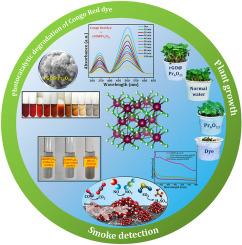 Eco-friendly fabrication of rGO-Pr6O11 nanocomposites: Enhanced photocatalysis and smoke gas sensing performance