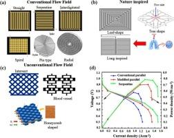Flow field configurations in PEMFCs: Design, Modeling, and performance insights