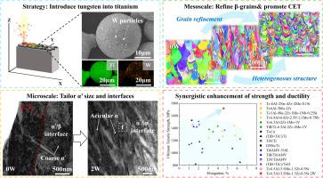 Achieving strength-ductility synergy in additive manufactured α+β titanium alloys through multi-scale microstructure regulation