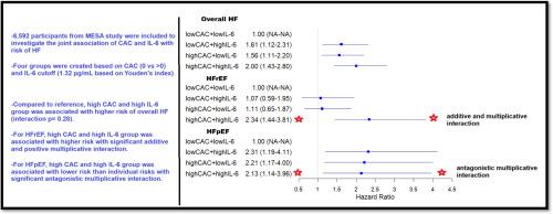 Relationship between interleukin-6, coronary artery calcium and risk of heart failure: Insights from MESA