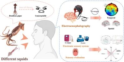 Effects of different sour off-flavor in jumbo squid (Dosidicus gigas) on brain perceptions via scalp electroencephalogram and the underlying mechanisms