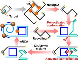 DNAzyme-activated rolling circle amplification cascade nanomachine for sub-femtomolar detection of tuberculosis single-nucleotide mutation