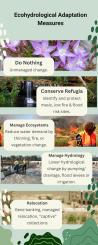 Ecohydrological adaptation: A research and management framework for ecosystems in Australia’s drying and warming climate