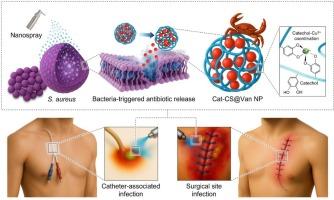 Self-disinfecting adhesive chitosan nanospray therapeutics for on-demand antibiotic prophylaxis against healthcare-associated infections