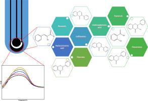 Electrochemical sensors for the determination of polyphenols as antioxidants from natural sources: A comprehensive review of sensor development and characterization