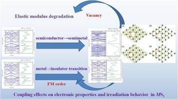Unveiling the multifactorial coupling effects on electronic properties and irradiation behavior of transition metal dichalcogenides MS2 (M = Mo, W, V)