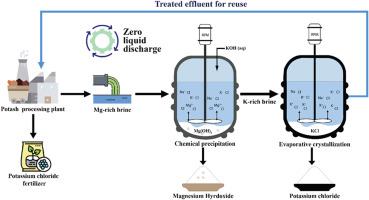 Resource recovery from potash brine effluent: integrated chemical precipitation and evaporative crystallization for zero liquid discharge and sustainable brine management