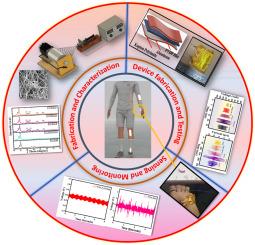 Engineering of electrospun lead-free PVDF/Carbon Nanofiber-ZnO nanocomposites for enhanced piezoelectric energy harvesting and wearable sensing applications