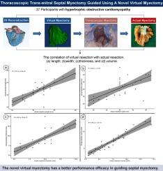 Use of the novel virtual myectomy in guiding thoracoscopic myectomy for patients with hypertrophic obstructive cardiomyopathy