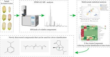 Identification of different citrus varieties by SPME-GC–MS technique