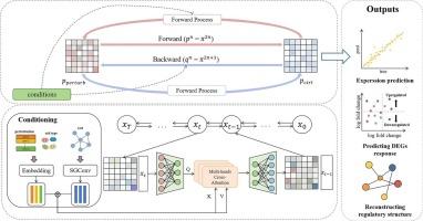 Prediction of Single-Cell perturbation response based on Direction-Constrained diffusion Schrödinger Bridge