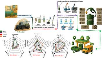 Using multivariate models to link seasonality and biodiesel efficiency in red sea brown algae