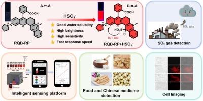 A materialized intelligent sensing platform driven by ultra-sensitive fluorescent probe: Smart phone-assisted portable detection of SO2 and its derivatives