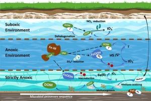 Natural organic matter drives iodine biogeochemical cycling in multi-layered redox dynamic groundwater systems