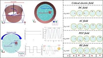 Microscopic stabilization mechanism of droplet in the coupling of electric and rotating flow fields