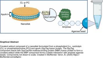 Immobilized nanodisks for study of ligand binding interactions