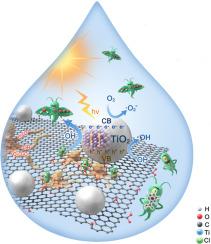 Synthesis-acidity modulated TiO2@GO with enriched functional groups for efficient photodegradation of trace contaminant