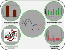 Unveiling the potential of click synthesized 1,2,3-triazole as an anticancer agent via in vivo, molecular docking and MD simulation approaches and its aptitude as plant growth regulator on Cajanus cajan