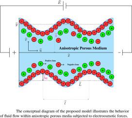 Impact of anisotropic porosity on electroosmotic flow of micropolar fluid in wavy channel