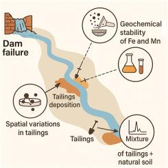 Distribution of trace elements in the tailings of the B1 dam, in the Córrego do Feijão mine, and in soils affected after the dam breach