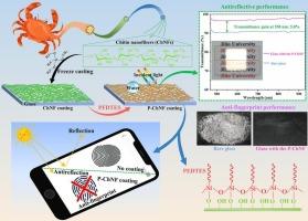 Preparation and characterization of anti-fingerprint and antireflective coatings prepared for touchscreen displays based on chitin nanofibers