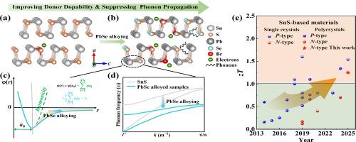 Achieving superior thermoelectric performance in N-type SnS-based polycrystals by regulating donor dopability and phonon propagation
