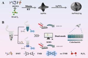 AuNSs@Ag Nanoprobe-based dual-mode sensor for rapid and sensitive detection of dimethoate