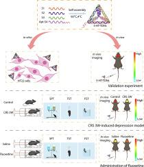 Sensing 5-HT by specific aptamer modified nanostructures in chronic restraint stress-induced depression mice